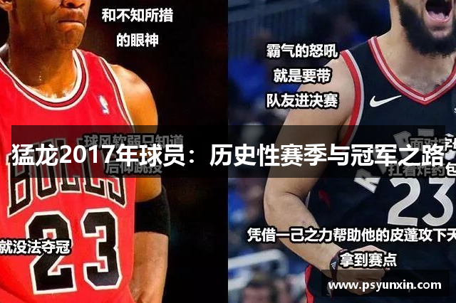 猛龙2017年球员：历史性赛季与冠军之路