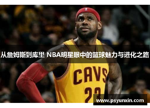 从詹姆斯到库里 NBA明星眼中的篮球魅力与进化之路