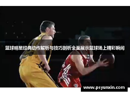 篮球明星经典动作解析与技巧剖析全面展示篮球场上精彩瞬间