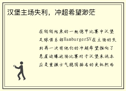 汉堡主场失利，冲超希望渺茫